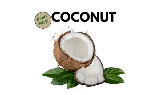 Coconut Gelato (dairy-free)