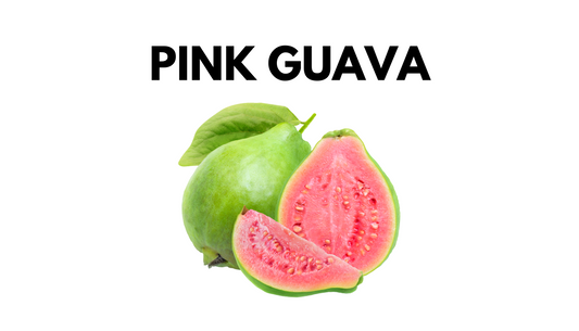 Pink Guava Gelato