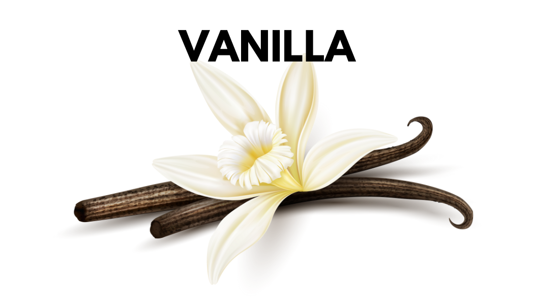 Vanilla Gelato