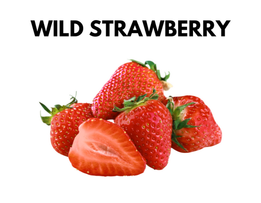 Wild Strawberry Gelato